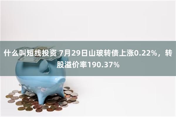 什么叫短线投资 7月29日山玻转债上涨0.22%，转股溢价率190.37%