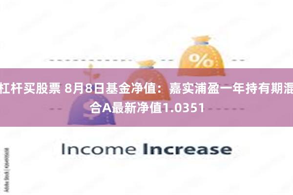 杠杆买股票 8月8日基金净值：嘉实浦盈一年持有期混合A最新净值1.0351