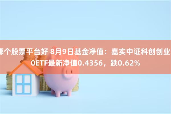 哪个股票平台好 8月9日基金净值：嘉实中证科创创业50ETF最新净值0.4356，跌0.62%