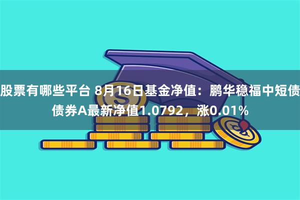 股票有哪些平台 8月16日基金净值：鹏华稳福中短债债券A最新净值1.0792，涨0.01%