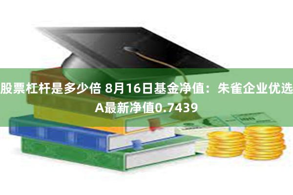 股票杠杆是多少倍 8月16日基金净值：朱雀企业优选A最新净值0.7439