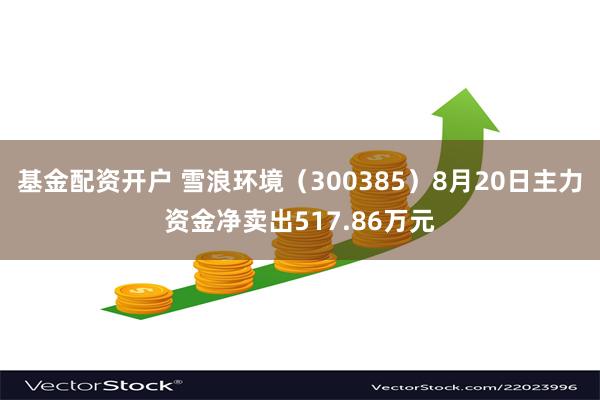 基金配资开户 雪浪环境（300385）8月20日主力资金净卖出517.86万元