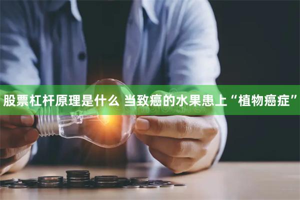 股票杠杆原理是什么 当致癌的水果患上“植物癌症”