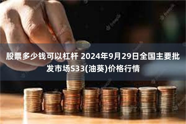 股票多少钱可以杠杆 2024年9月29日全国主要批发市场S33(油葵)价格行情