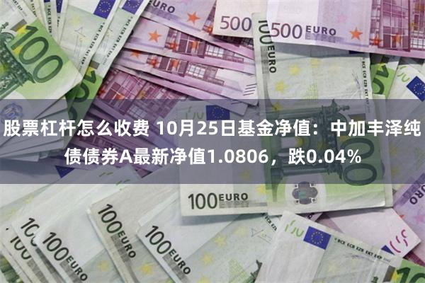 股票杠杆怎么收费 10月25日基金净值：中加丰泽纯债债券A最新净值1.0806，跌0.04%