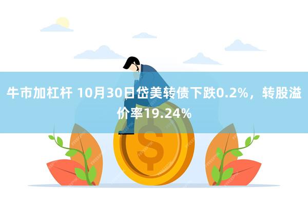 牛市加杠杆 10月30日岱美转债下跌0.2%，转股溢价率19.24%