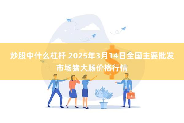 炒股中什么杠杆 2025年3月14日全国主要批发市场猪大肠价格行情