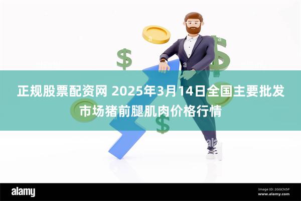 正规股票配资网 2025年3月14日全国主要批发市场猪前腿肌肉价格行情